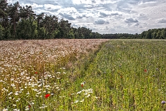 20150628_34 38